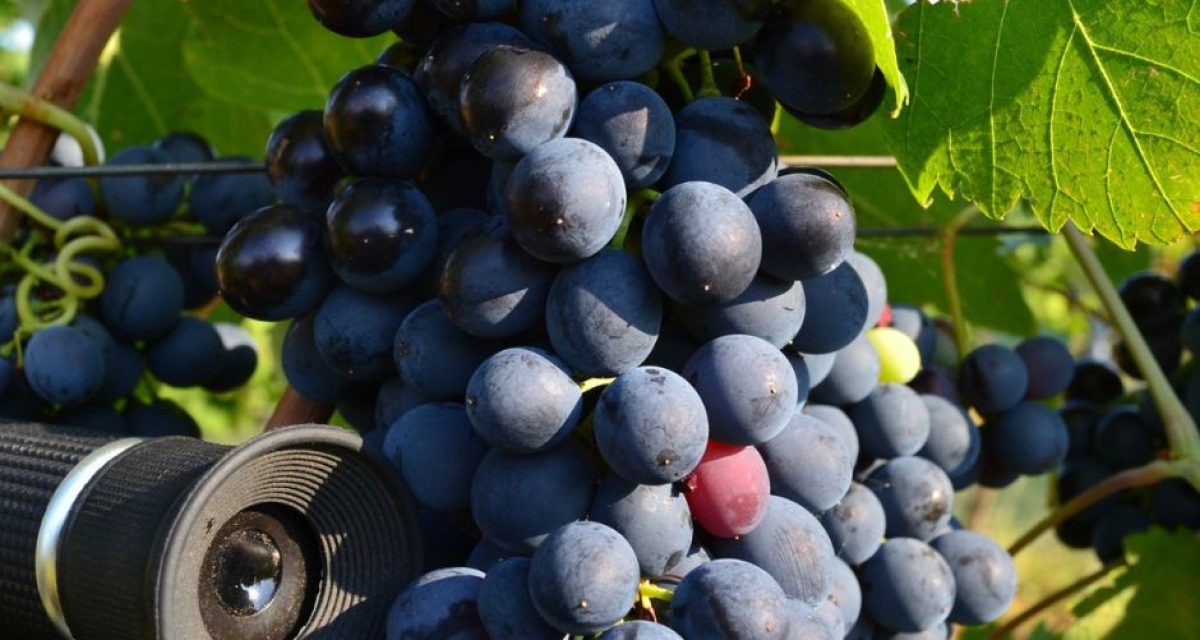 482020322 1139769421123401 850585366760021291 n