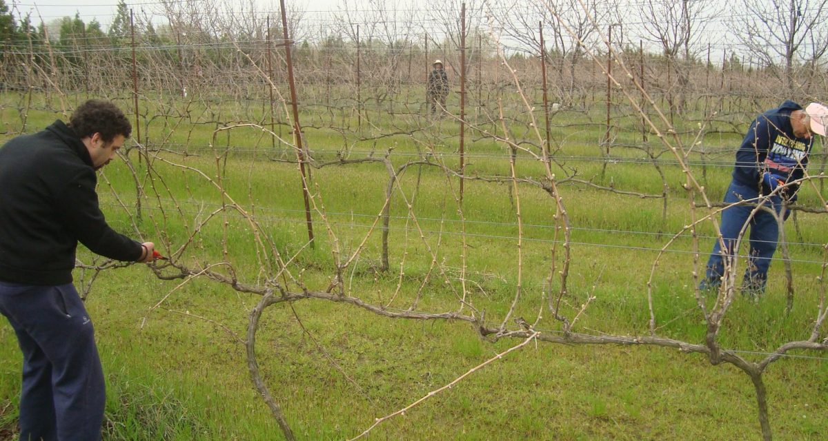 515308928 31079710438282664 5727991908125292607 n