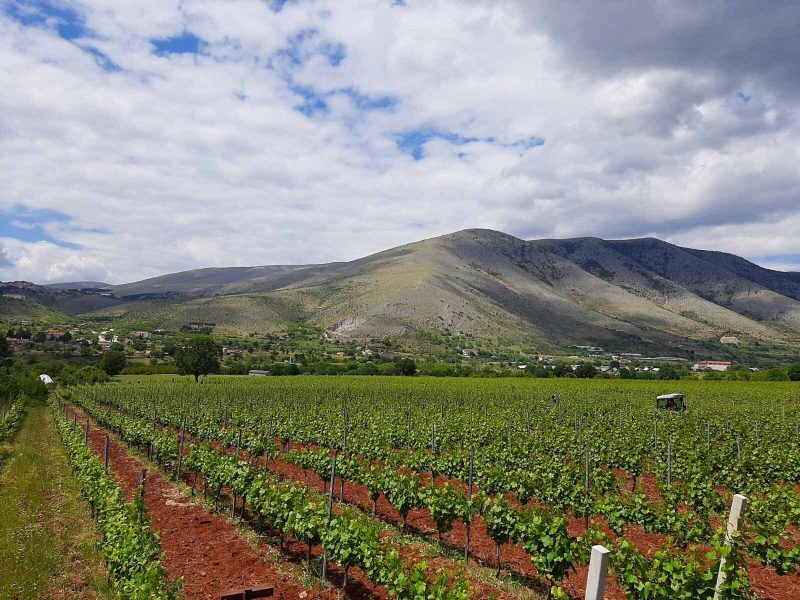 diofili vineyards 1600x1200 1